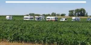 Read more about the article Illinois Farms Boost Income by Welcoming RV Travelers